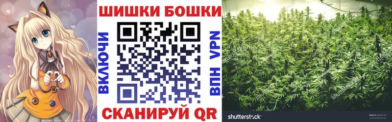 Где купить Егорьевск Галлюциногенные грибы  Мефедрон  Cocaine  A PVP 