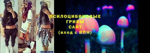 apvp Абаза