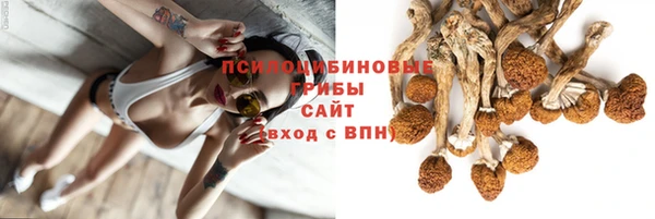 mdpv Пересвет