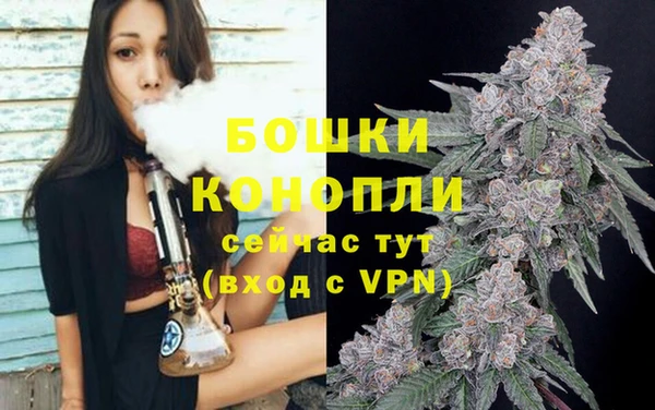 mdpv Пересвет