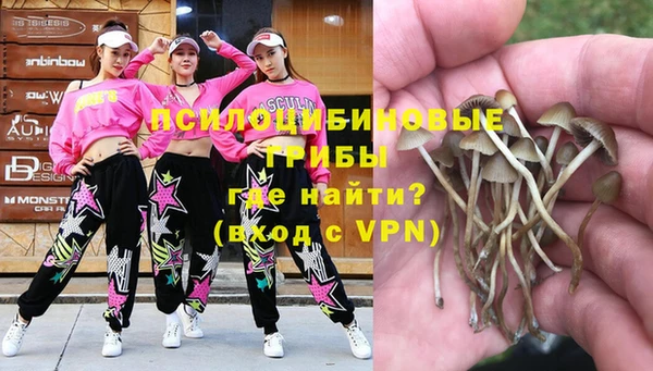apvp Абаза