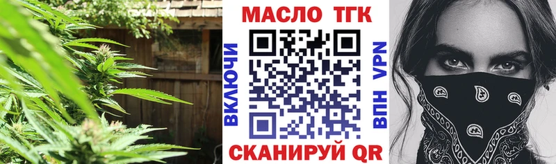 где купить наркоту  Егорьевск  hydra как войти  ТГК жижа 