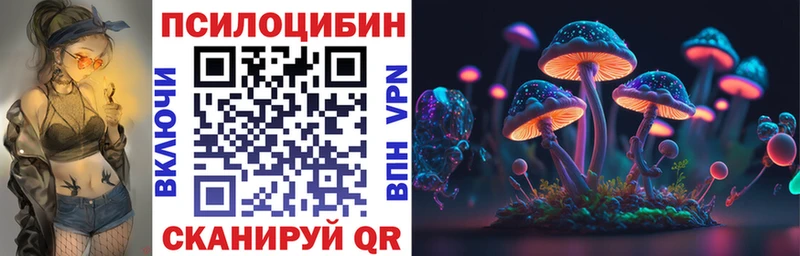 где найти наркотики  Егорьевск  ОМГ ОМГ онион  Псилоцибиновые грибы Magic Shrooms 