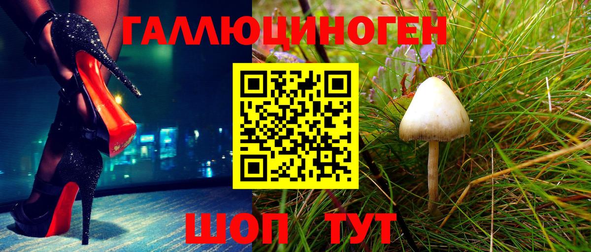 Псилоцибиновые грибы Cubensis  Вход с VPN  Егорьевск 