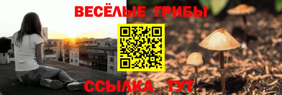 Псилоцибиновые грибы Magic Shrooms Егорьевск